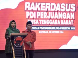 PDI Perjuangan