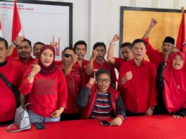 dpc pdi perjuangan