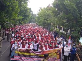 tenaga honorer