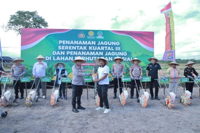 Swasembada Pangan Jagung