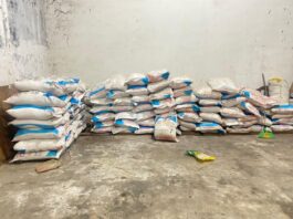Pupuk Bersubsidi Pemerintah