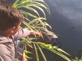 Geger Penemuan Mayat Pria di Aliran Sungai Praya Lombok