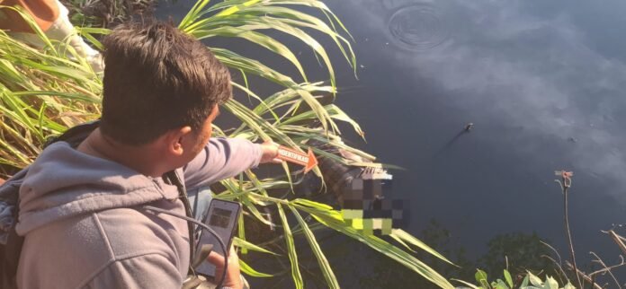 Geger Penemuan Mayat Pria di Aliran Sungai Praya Lombok