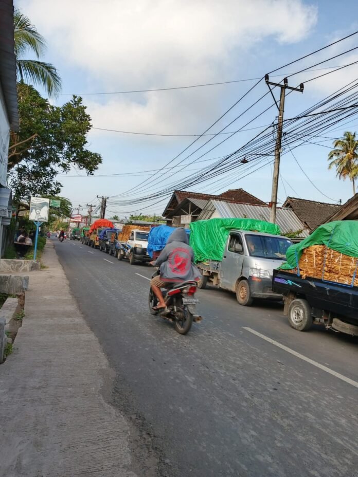 Gudang Tembakau di Desa Gelora Meresahkan Masyarakat