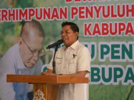 swasembada pangan nasional