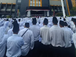 pppk paruh waktu