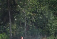 Krisis Regenerasi Petani, Ancaman Nyata Masa Depan Pertanian krisis regenerasi petani