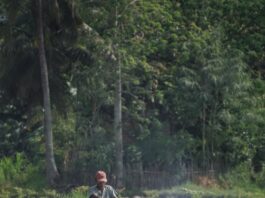 krisis regenerasi petani