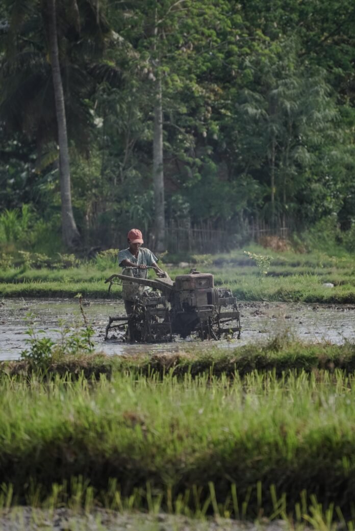 krisis regenerasi petani