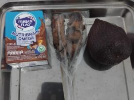 menu makanan bergizi gratis