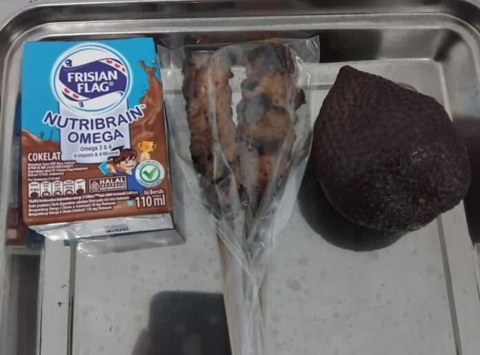 menu makanan bergizi gratis