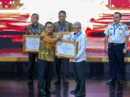 penghargaan nasional
